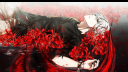 CCG server banner