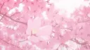 𑊁    .     moonveil yumes  ᨓ server banner