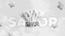 Savor banner