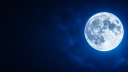 .gg/BlueMoon Discord server banner