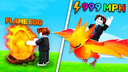 Ride A Pet! Banner