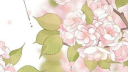 2AM Society ¹⁸⁺ server banner