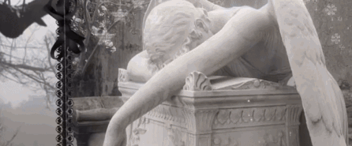 ᴠɪᴠᴇʀᴇ Discord server banner