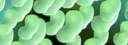 Purgito#7501 banner