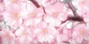 𝐴𝑠𝑠 𝐸𝑎𝑡 𐙚⋆.˚ Server Banner