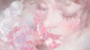 𝒫𝓊𝓇ℯ𝒽𝒶𝒸𝒽𝒾 server banner