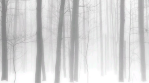 𓂃 . 𝜗℘ 𝓓ollescent ៹ Discord server banner