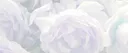 ๐ใใปrealm of moon banner