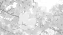 𝐿𝓊𝓂𝒾𝒾 server banner