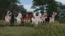 Aurelothar Enclave Herd 🕯 server banner