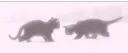 Berries🫐🍓 server banner