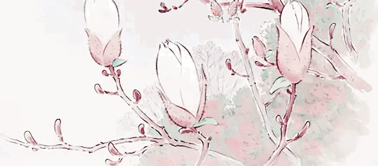 # shooq !'s profile banner