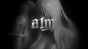 a1mlock banner