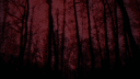 Temporarily Сlosed Banner