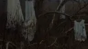 —𝕾𝐊𝐘𝐋𝐈𝐍𝐄 ²⁰⁰¹ Discord server banner
