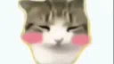 Chicken Balls server banner