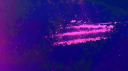 euphoric ؛༊ Discord server banner