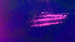 euphoric ؛༊ server banner