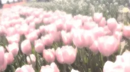 ୨୧ 𝕥𝕦𝕝𝕚𝕡𝕤 ୨୧ server banner