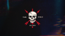 Task Force Paladin server banner