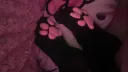 pawsocks banner