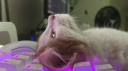 Snooze Discord server banner