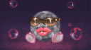 The Diva Disco ♡⊹˚₊ Discord server banner