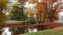 Autumn server banner