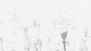 Arrancar's banner