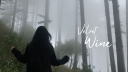 VelvetWine | Elite • Social • Club | server banner