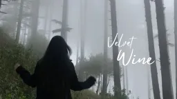 VelvetWine | Elite • Social • Club | server banner
