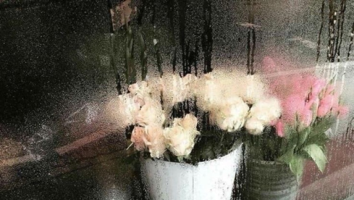 𐙚˙⋆.˚ the ninth garden Discord server banner