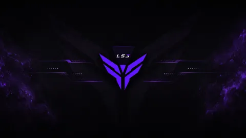 LS3 banner