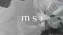 M S 1 banner