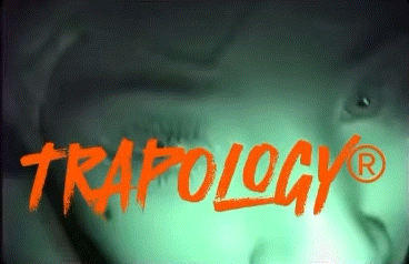 ᴛʀᴀᴘᴏʟᴏɢʏ® Discord server banner