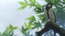Garden of Eden Discord server banner