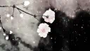 先鋭的 Discord server banner