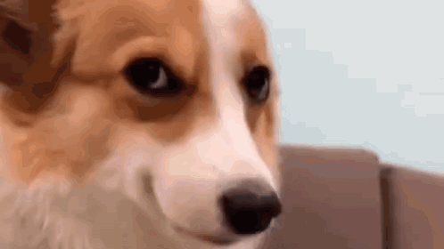 !8 Discord server banner