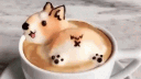 ATE FAN CLUB 18+ Discord server banner