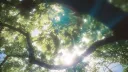 𝑀𝑖𝑟𝑒𝑣𝑒𝑖𝑙.ᐟ⋆˚࿔ server banner