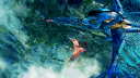 𝐇𝐎𝐏𝐄 𝐎𝐅 𝐄𝐘𝐖𝐀 — 𝒂𝒗𝒂𝒕𝒂𝒓 (𝟭𝟴+) banner