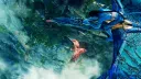 ๐๐๐๐ ๐๐
๐๐๐๐ โ ๐๐๐๐๐๐ (๐ญ๐ด+) Discord server banner
