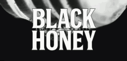 𝐁𝐋𝐀𝐂𝐊 𝐇𝐎𝐍𝐄𝐘 ¹⁸⁺ ᶜᵒᵐᵐᵘⁿᶦᵗʸ server banner