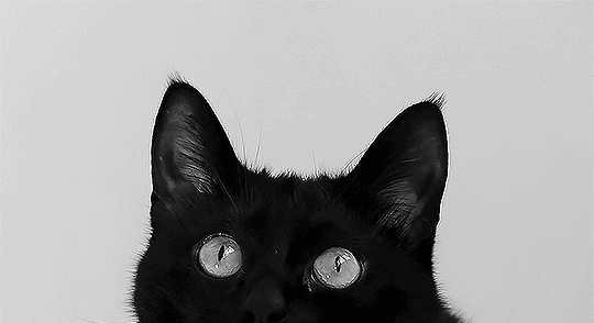 ⸝⸝freewill Discord server banner