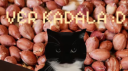 Ver Kadala server banner