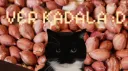 Ver kadala server banner