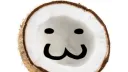 ❖❀~ ᴄᴏᴄᴏɴᴜᴛ’ꜱ ᴄʟᴜʙʜᴏᴜꜱᴇ ~❀❖ Discord server banner