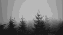 Surrender banner