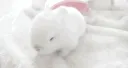 //buni Discord server banner
