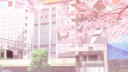 🌸𝐒𝐚𝐤𝐮𝐫𝐚 𝐒𝐚𝐧𝐜𝐭𝐮𝐚𝐫𝐲🌸 Discord server banner